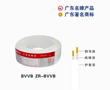 BVVB ZR-BVVB珠江電纜